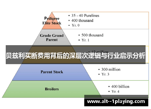 贝兹利买断费用背后的深层次逻辑与行业启示分析