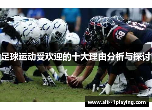 足球运动受欢迎的十大理由分析与探讨